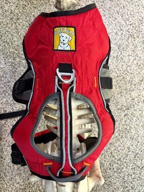 Ruffwear 5-point Webmaster Dog Harness with handle